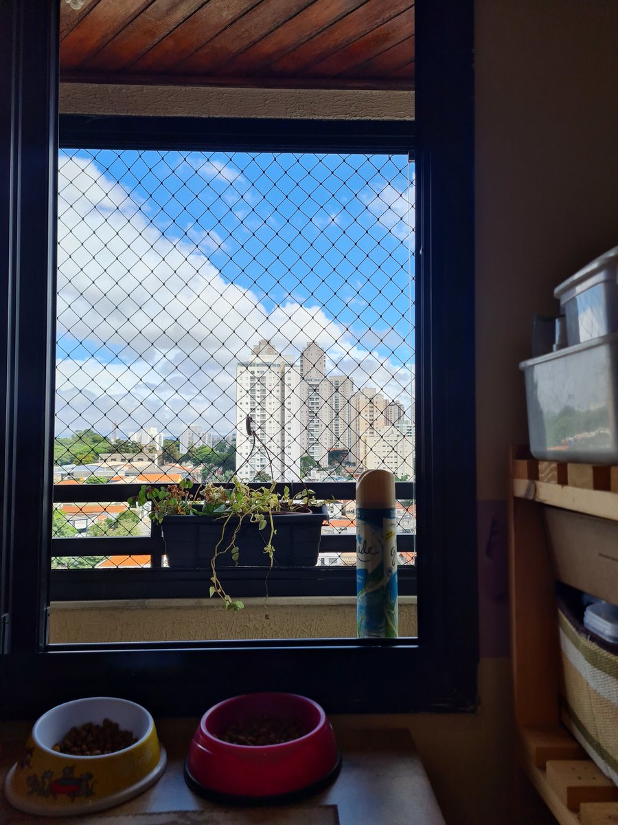 GiPiu's tweet image. Vendo o sol nascer quadrado, somos todos presidiários nos apartamentos da vida! #Filosofei