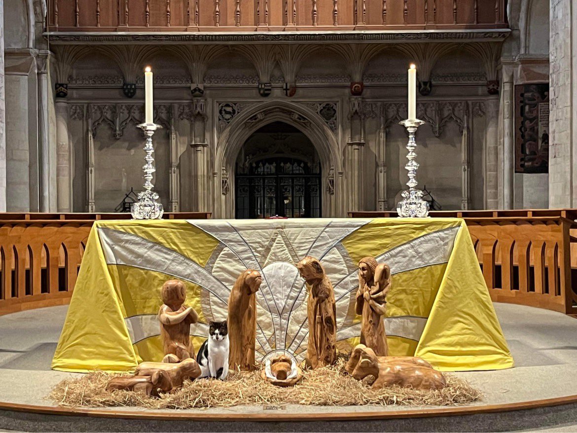 It might be twelfth night, but apparently we’ve still got camels to arrive. 
#catsoftwitter #cathedralcats #Epiphany #christmas