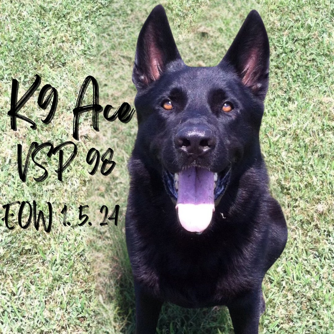 VSPPIO's tweet photo. With a heavy heart, we bid our final farewell to #VSP K9 Ace. K9 Ace proudly served the Commonwealth and VSP for six years, working alongside his handler, Senior Trooper J.R. Lewis, until his retirement in 2017.
Farewell K9 Ace, Badge 98 🐕🕊
#ValorServicePride #vastatepolice https://t.co/N9F4ydZJSg