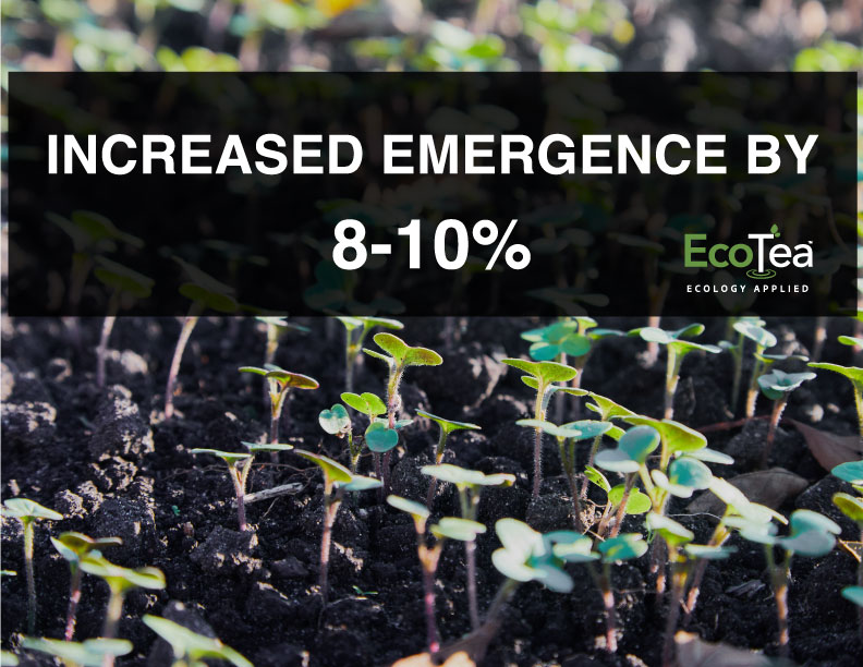 Increase #Canola emergence by 8 - 10% per M2 using #EcoTea #Canola+ Seed Dressing. Plot and greenhouse trials conducted at @NEA_Research15 in Swan River, MB showed consistent results 2 years in a row! #soilhealth #soilbiology #WestCDNag #agtwitter #agx