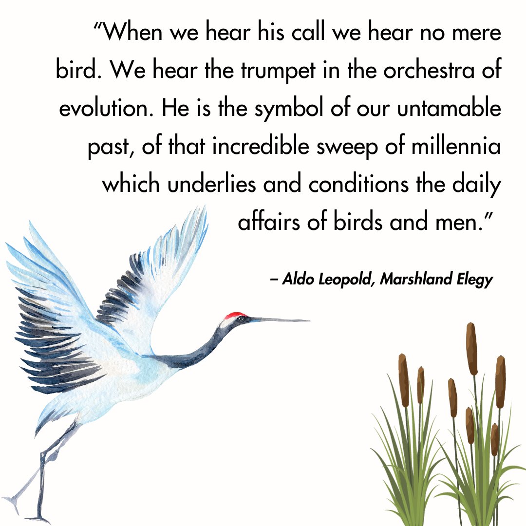 AWMuseum's tweet photo. Celebrate National Bird Day today with some excerpts from bird themed works from American authors 🐦 https://t.co/vStsHAbENR