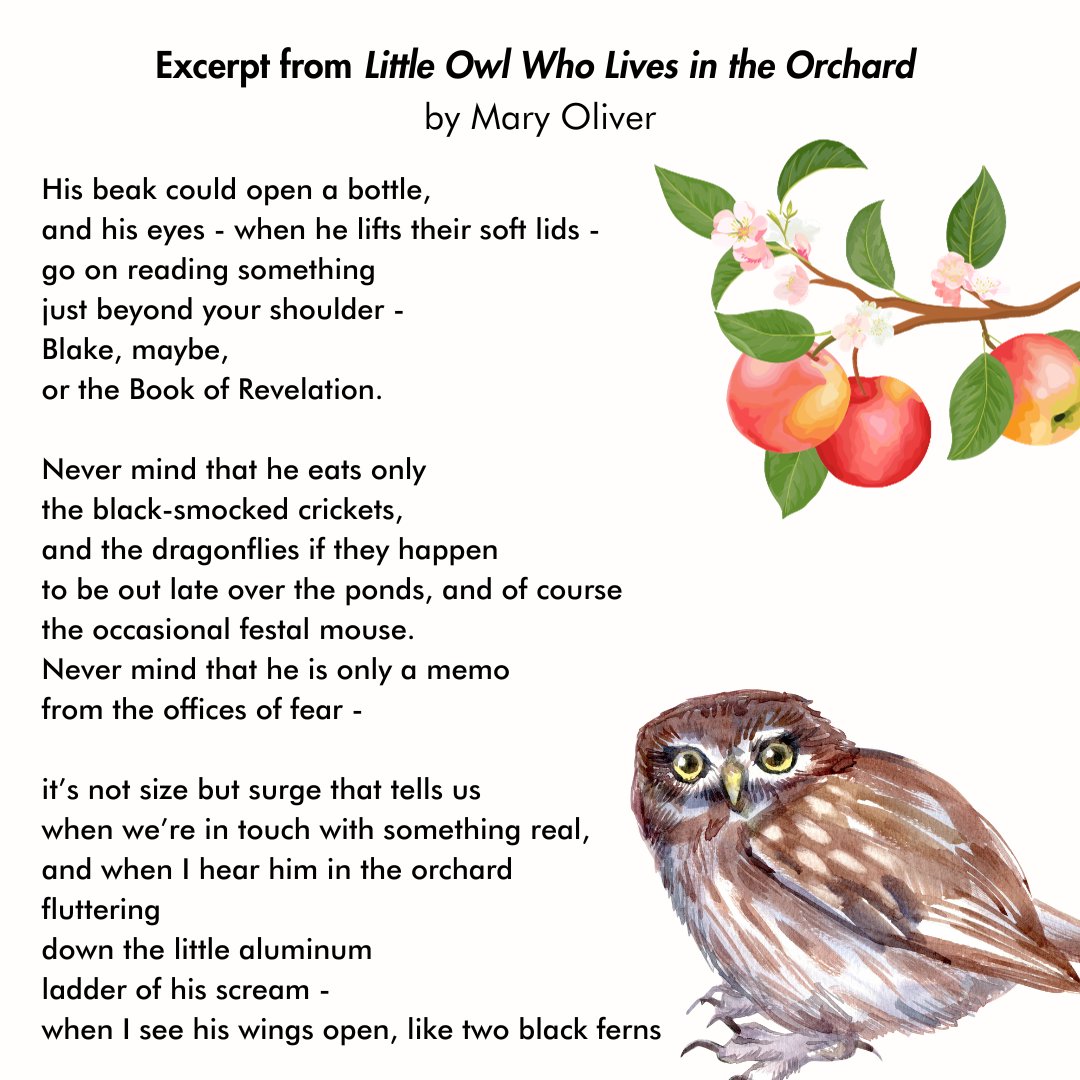 Celebrate National Bird Day today with some excerpts from bird themed works from American authors 🐦