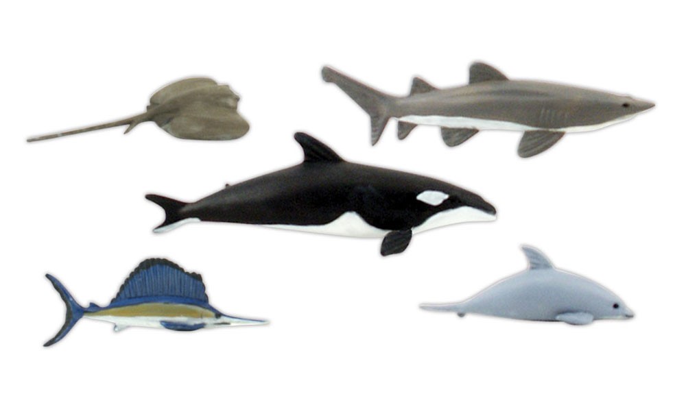 Bring any ocean diorama art project to life with Scene-A-Rama Marine Life Scene Setters®.

We offer 13 other Scene Setter packs for never-ending fun!

#artsandcrafts #playideas #scienceproject