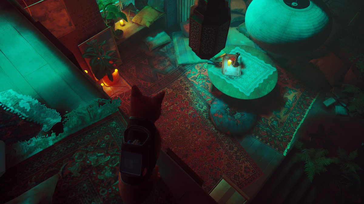 There are rugs in Stray