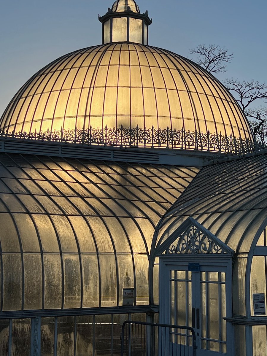 Early morning sun shining through one of my favourite spots in the city. #kibblepalace #Glasgow
