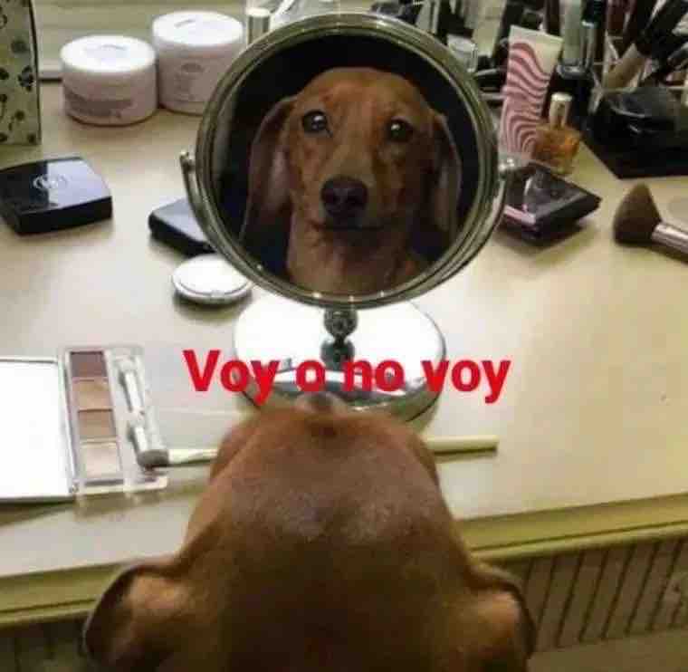 Guarromantico_'s tweet photo. Yo 5 minutos antes de salir: https://t.co/oKGuxd4OAC