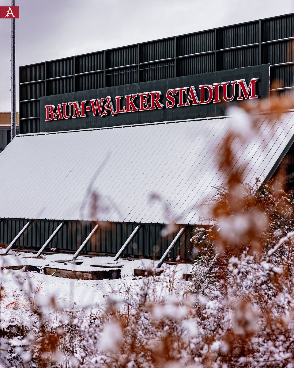 Arkansas Baseball tweet media