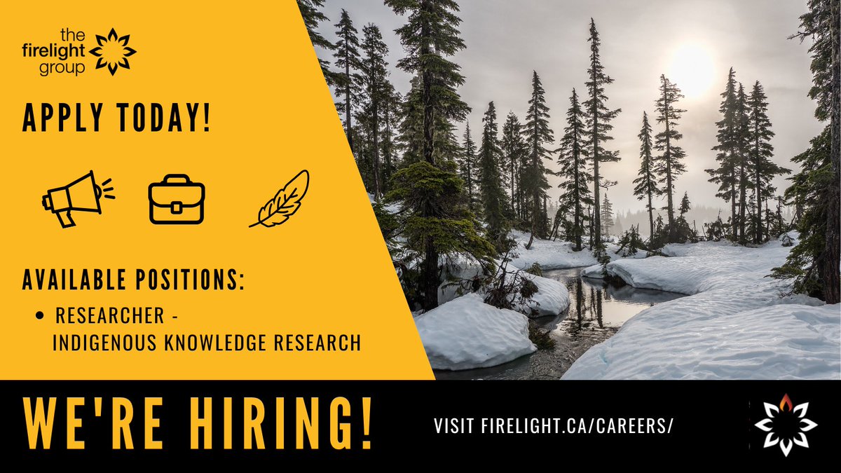 Firelight tweet media