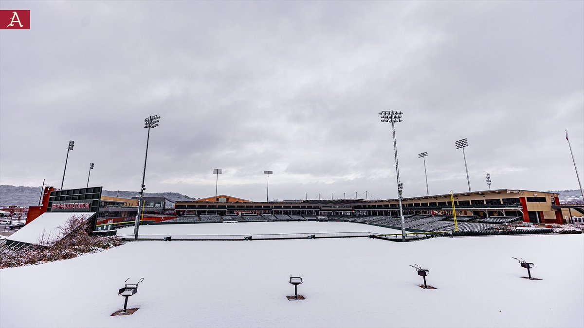 Arkansas Baseball tweet media