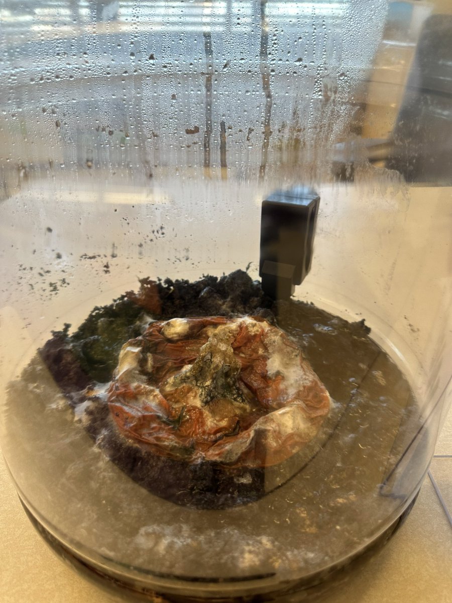 WWP Library 🇺🇦🌻 tweet media