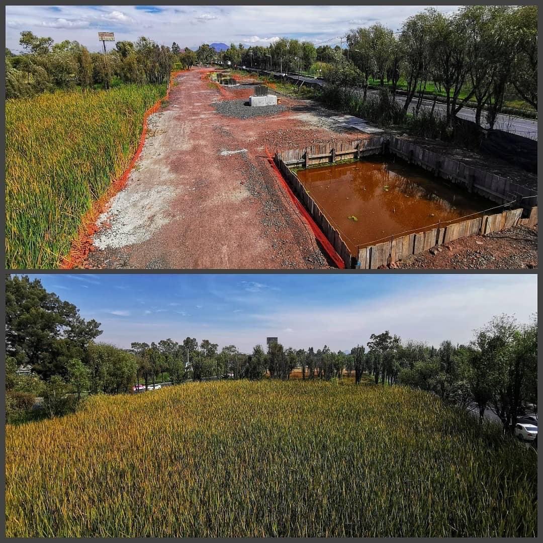 luis_gj's tweet photo. Hay un spot de Sheinbaum y el PVEM diciendo que es ambientalista

Les recuerdo lo que Claudia Sheinbaum ha hecho:

- Apoyar la construcción de una refinería y el uso de combustibles fósiles

- Reducir el presupuesto a zoológicos, y dejar morir a cientos de animales para cobrar los seguros, sin aclarar cómo dispuso de ese dinero. 

- Deforestó el camellón de Av Revolución siendo Secretaria del Medio Ambiente. 

- Desviar fondos de la CDMX para la construcción de un tren de diesel en el sureste y provocar un ecocidio en la selva. 

- Autorizar la destrucción del vivero Neza en Xochimilco para designarlo para instalaciones de la Guardia Nacional. 

- Incapacidad para detener la plaga que mató a las palmeras de Paseo de la Reforma, y matar por demagogia al ahuehuete que suplantó a una de las palmeras. 

Sheinbaum no es ambientalista. 
Solo es una vulgar farsante.