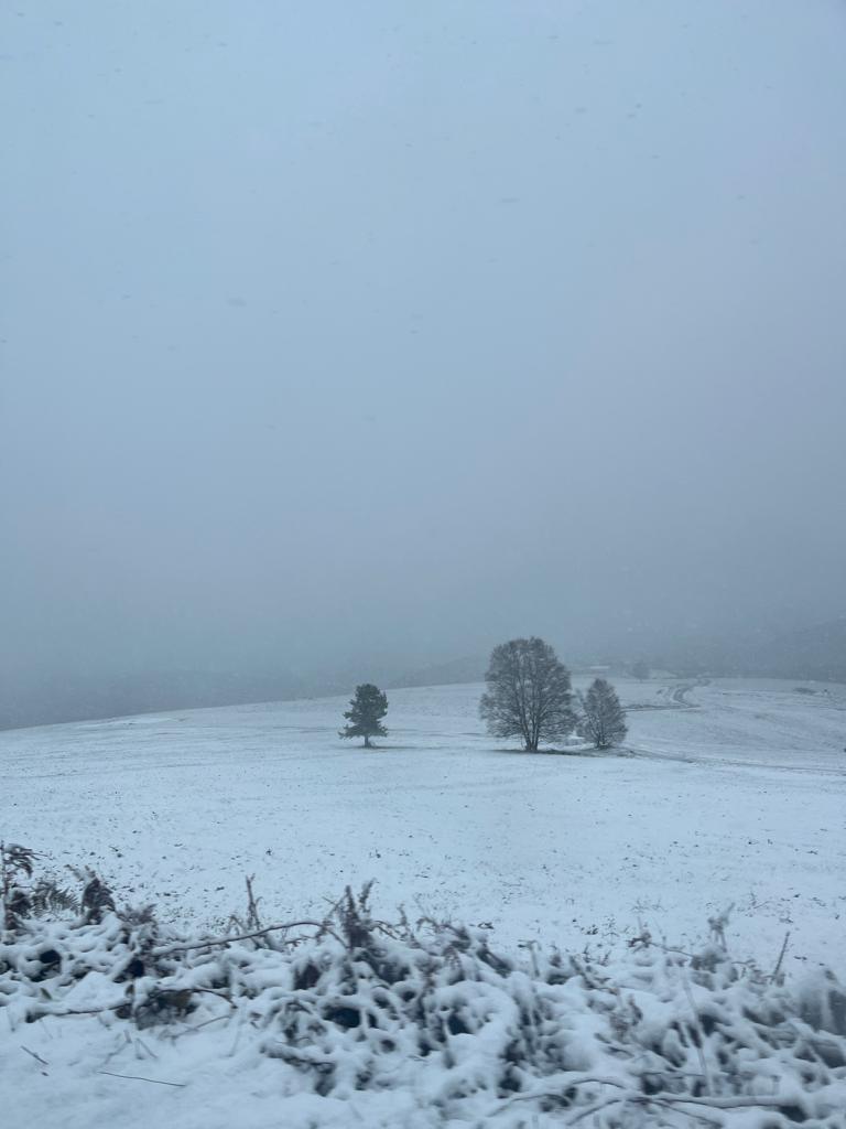 Os Reis veñen cargados de neve pola Fonsagrada ❄️👑