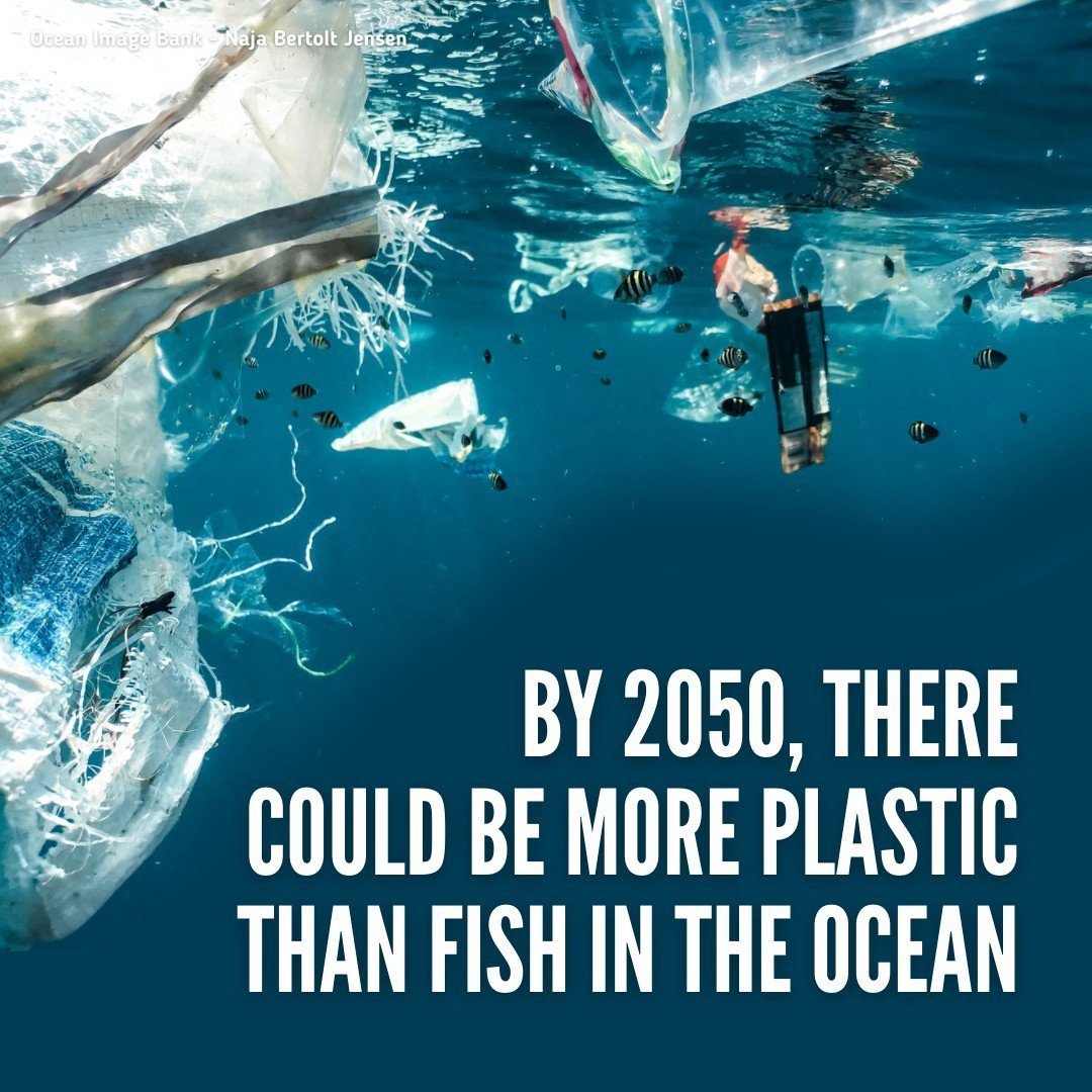 By 2050, there could be more plastic than fish in the ocean.

Small changes in our daily habits can have a big impact for our planet.

Get ideas on how you can help #SaveOurOcean & protect our common future: un.org/sustainabledev…