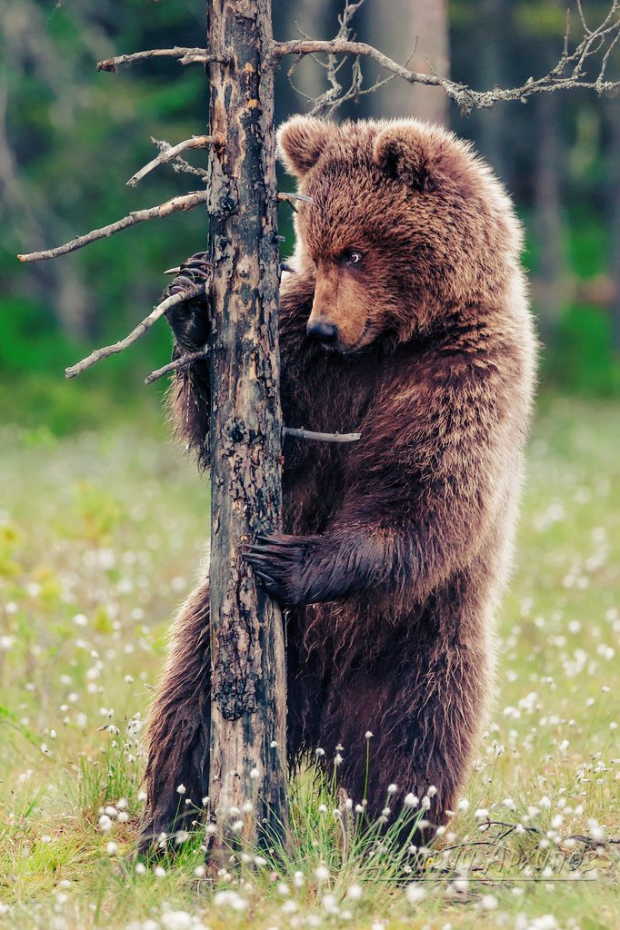 You are not alone in your loneliness❤
The whole Universe is with you...