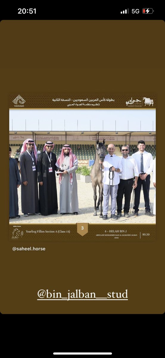 bin_gelban_stud's tweet photo. المهرة هيلة بن ج  ملك وانتاج المربط
تتوج وتتأهل للنهائيات كل التوفيق لجميلتنا. https://t.co/5KE4FYoTRs