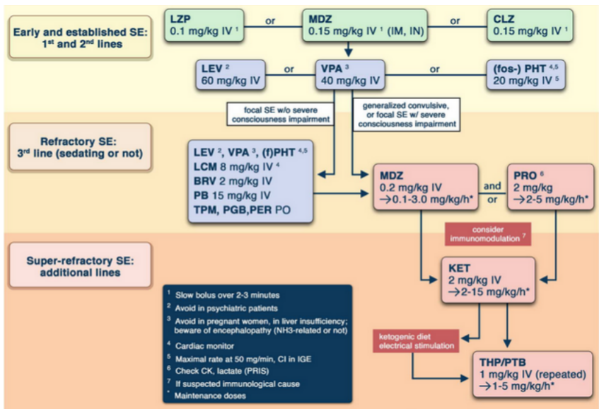 Status epilepticus in the ICU

CCR Journal Watch
criticalcarereviews.com/latest-evidenc…

Get the latest critical care literature every weekend via the CCR Newsletter - subscribe at criticalcarereviews.com/newsletters/su…