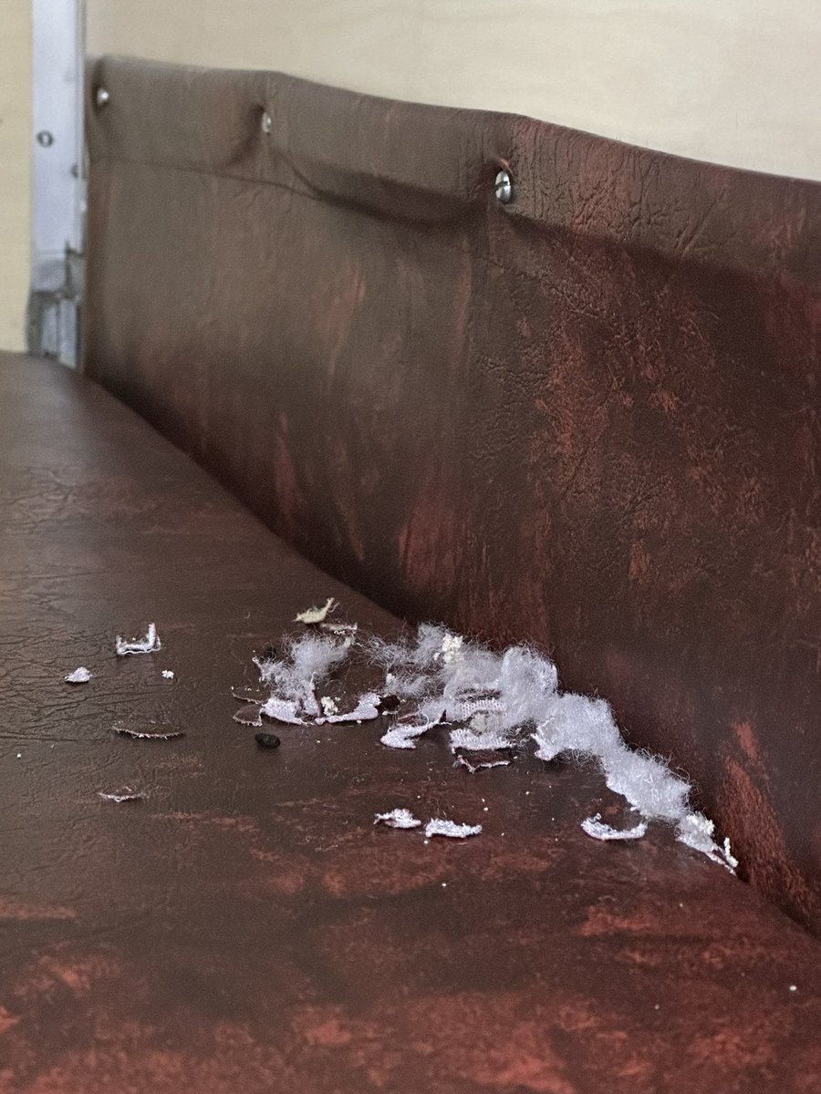 adish_dr's tweet photo. Boarded from Ahmedabad railway station. 
Really disappointed after seeing my seat in 2nd AC coach of train no. 09451
All chewed by RATS 🐀 

Zero cleanliness in the coach.
RATS roaming around in the coach 👎🏻

@AshwiniVaishnaw Sir , @RailMinIndia @IRCTCofficial https://t.co/KWJMwoL39D