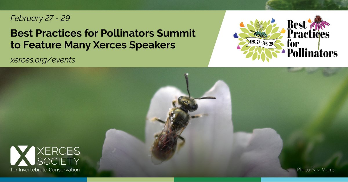 The Best Practices for Pollinators Summit will include many speakers &amp; topics from Xerces! 
🐜 Urban soil life
🌼 Wildflower forage value
🌻 Converting fields to habitat
🦋 Monarch habitat
🌳 Forest pollinator habitat
🌱 Pollinator-safe plant purchases
pollinatorfriendly.org/summit