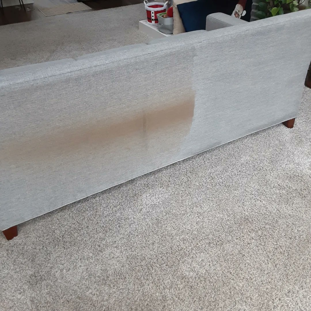 CookCleaningCo's tweet image. Happy New Year! May 2024 fill you with joy and clean furniture!

#cookcleaningco #steamcleaning #upholsterycleaning #carpetcleaning #atlanta