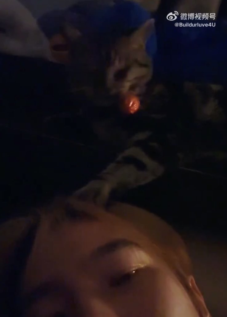 This is luve💙🐱🖤