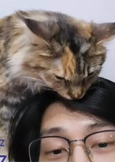 mywegath's tweet photo. This is luve💙🐱🖤 https://t.co/6JWL0DHKqr