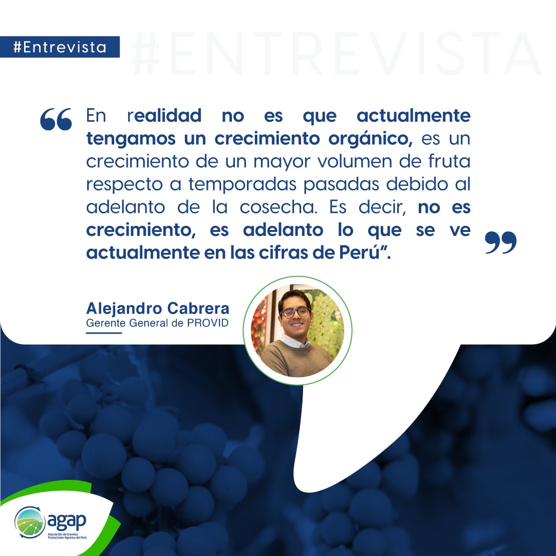 AGAP_PERU's tweet image. Alejando Cabrera, gerente general de #Provid, en entrevista para @PortalFruticola , explicó que el adelanto de la campaña actual no implica un crecimiento orgánico, además enfatizó que ha sido una temporada desafiante y explica la manera en qué los fenómenos climáticos han