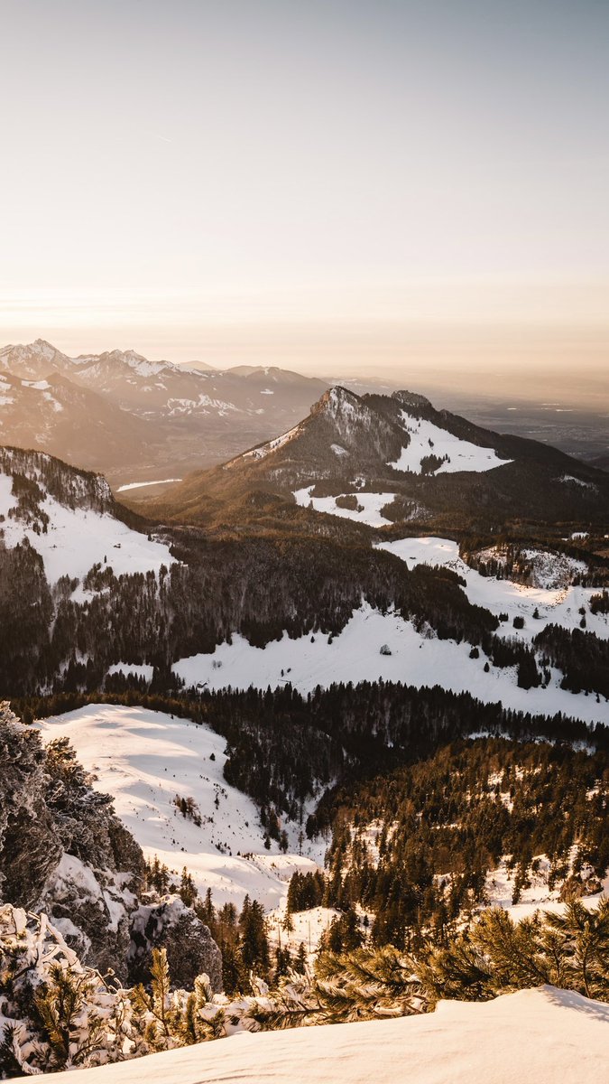 Florian Grieger 🏠🏔 tweet media