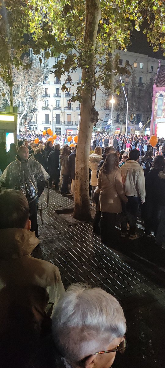 Arribar a la #ReisBCN i trobar-te una zona 'vip' a la que s'accedeix amb una pulsera, vergonyant q el puto @bcn_ajuntament permiti aquestes coses, fins i tot aquí hi ha ciutadans de primera i segona