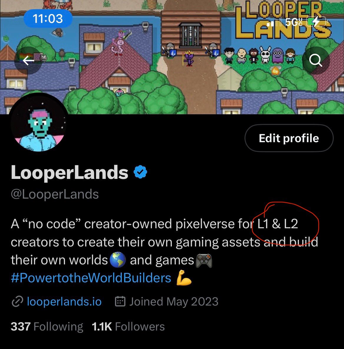 LooperLands tweet media