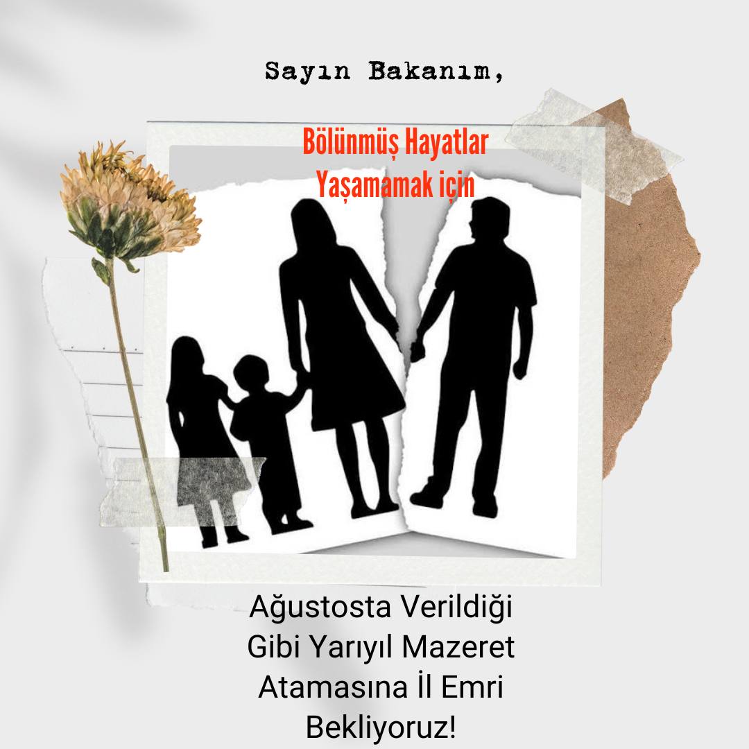 aykutoguz51's tweet photo. #ocaktailemri olsun🙏
@Yusuf__Tekin https://t.co/BcRUQ3O3iY