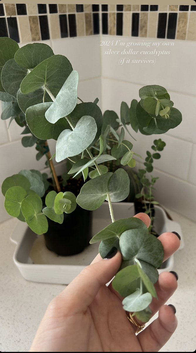 Paigewoolen (@paigeuncaged808) on Twitter photo 