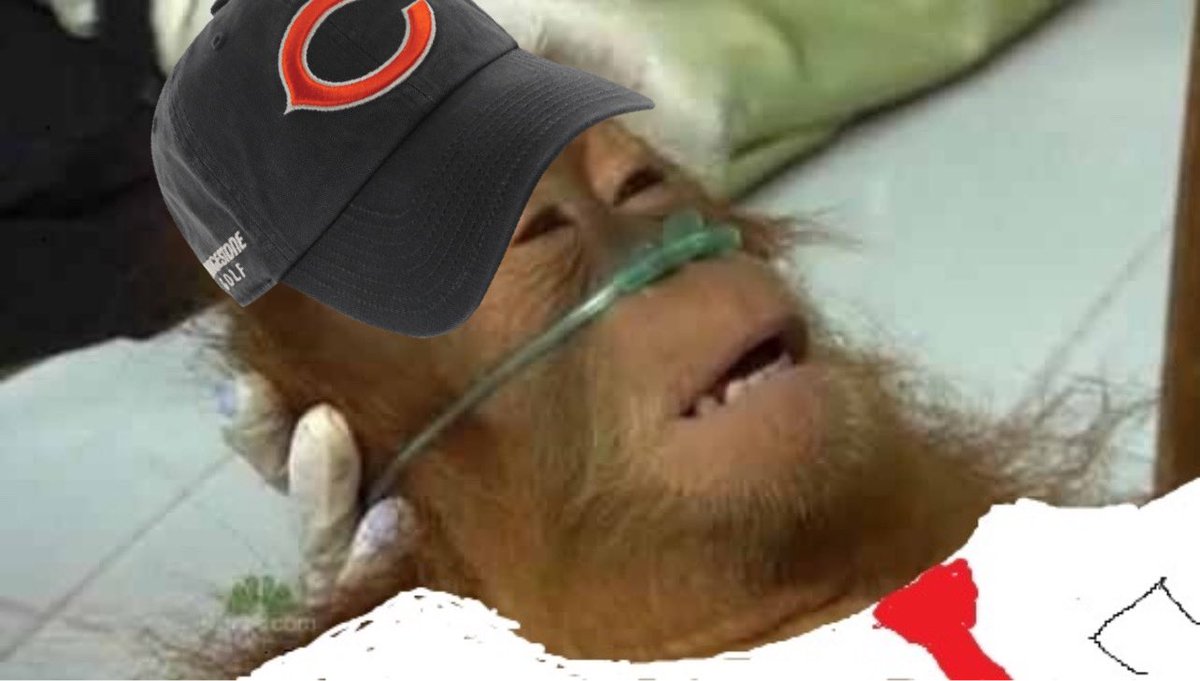 Bearsszn tweet media