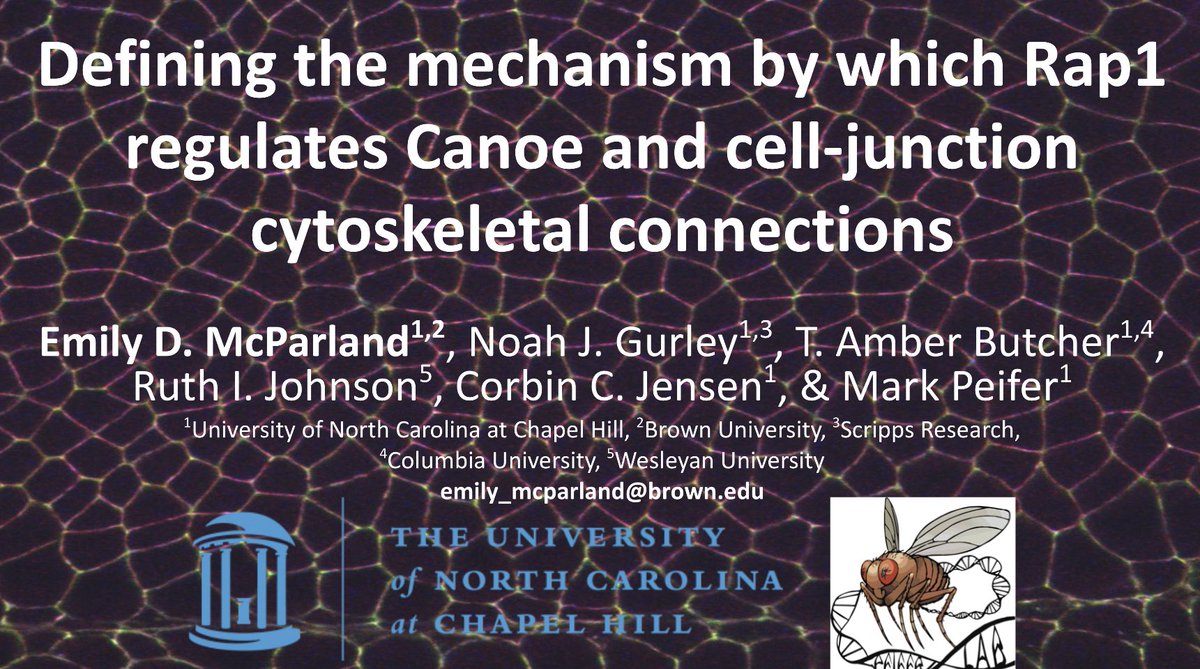 Emily McParland tweet media