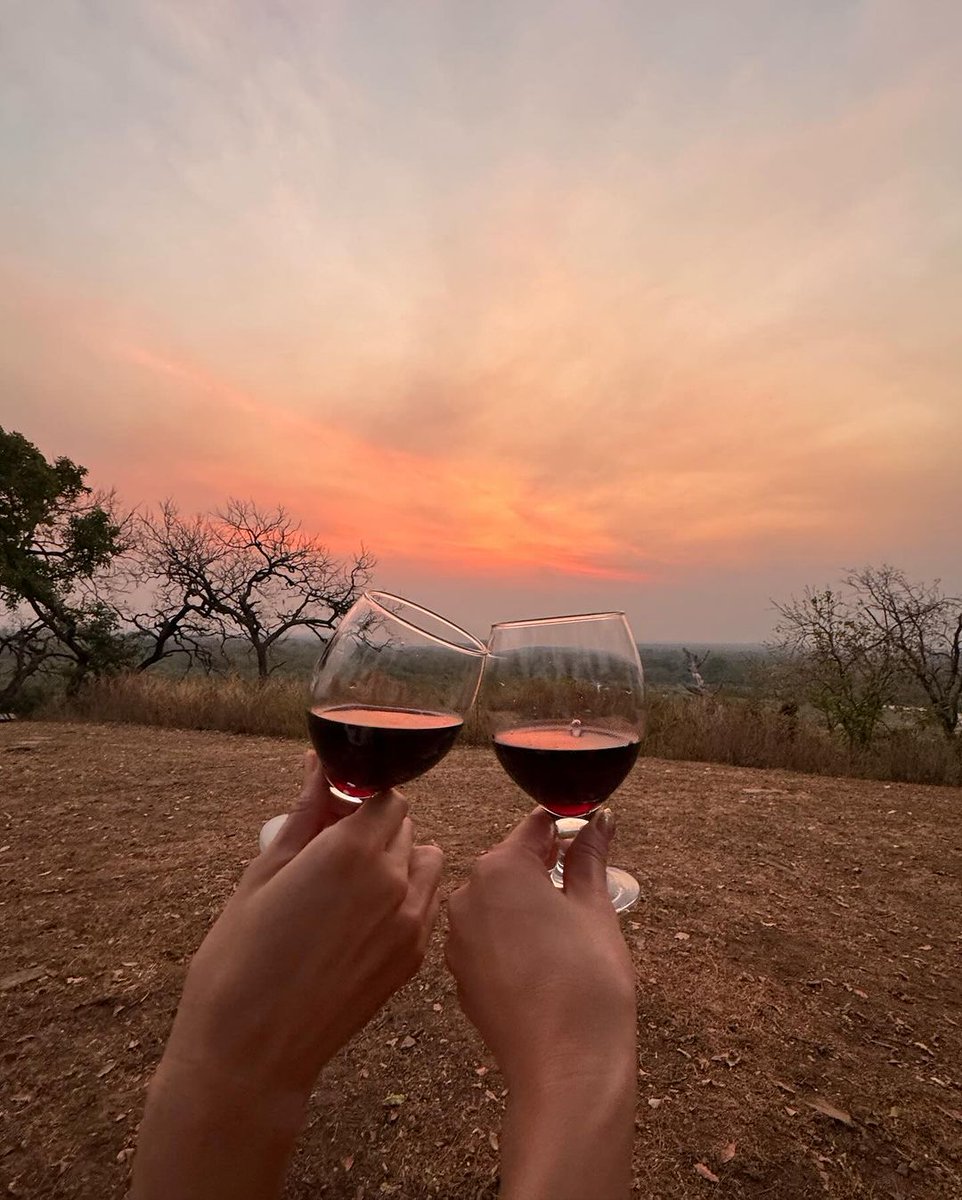 MolePark's tweet photo. Safari wonders and sunset dreams at Mole National Park.  Capturing the untamed beauty and golden moments that make every safari a unique adventure. Share your favorite snapshots with us! 

Photo credit  @DJSARASA

#MoleNationalPark #Safari #wildlife #adventure #MoleExperience https://t.co/UpWYWE5BiK