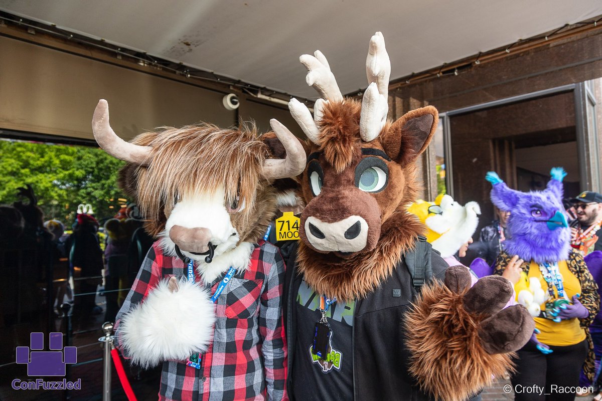 First #FursuitFriday of the year! Picture of both Barlow and Rasco at CFZ 2023. Pic by crofty racoon
