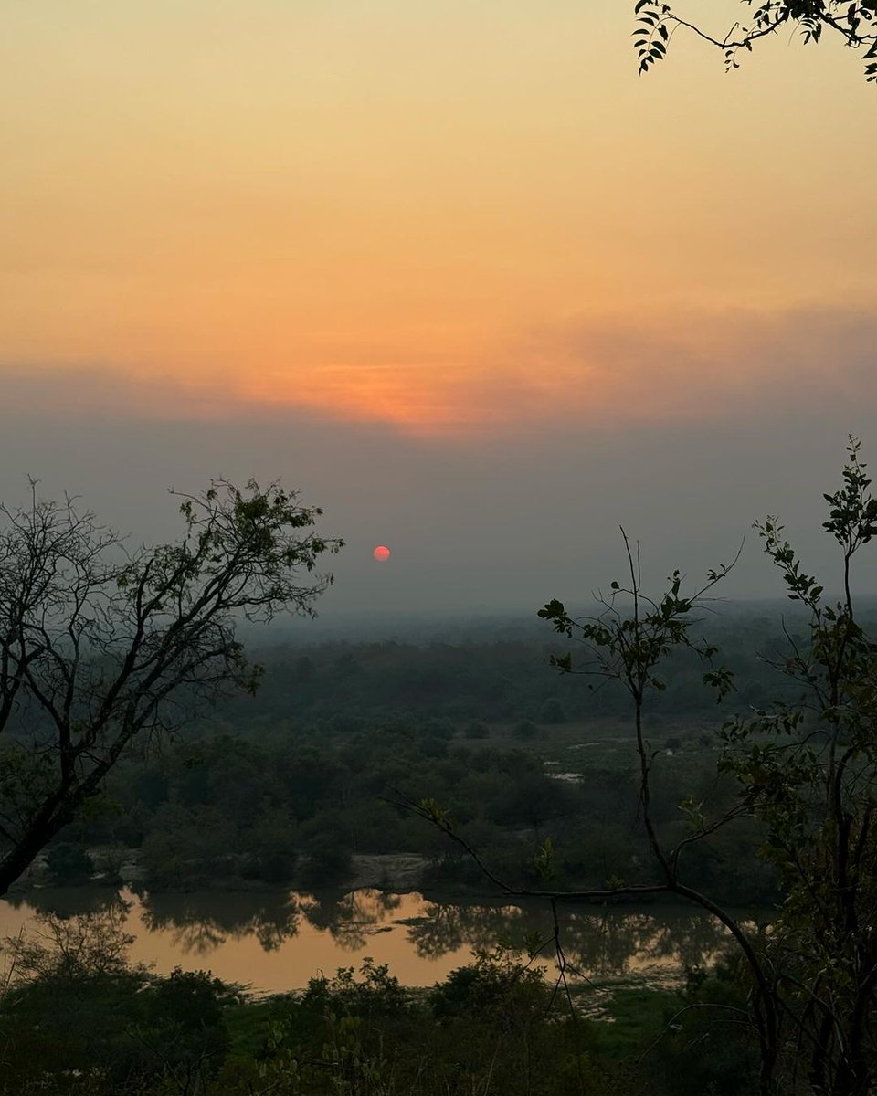 MolePark's tweet photo. Safari wonders and sunset dreams at Mole National Park.  Capturing the untamed beauty and golden moments that make every safari a unique adventure. Share your favorite snapshots with us! 

Photo credit  @DJSARASA

#MoleNationalPark #Safari #wildlife #adventure #MoleExperience https://t.co/UpWYWE5BiK
