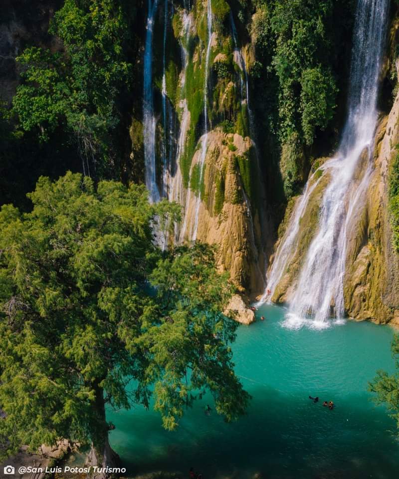 ¡Descubre la emoción del 2024 en las Cascadas de Minas Viejas en El Naranjo, Huasteca Potosina! 💦✨ ¡La adrenalina y la aventura te esperan!

¡Porque explorar con expertos marca la diferencia!
🌐goo.su/f7SFZd