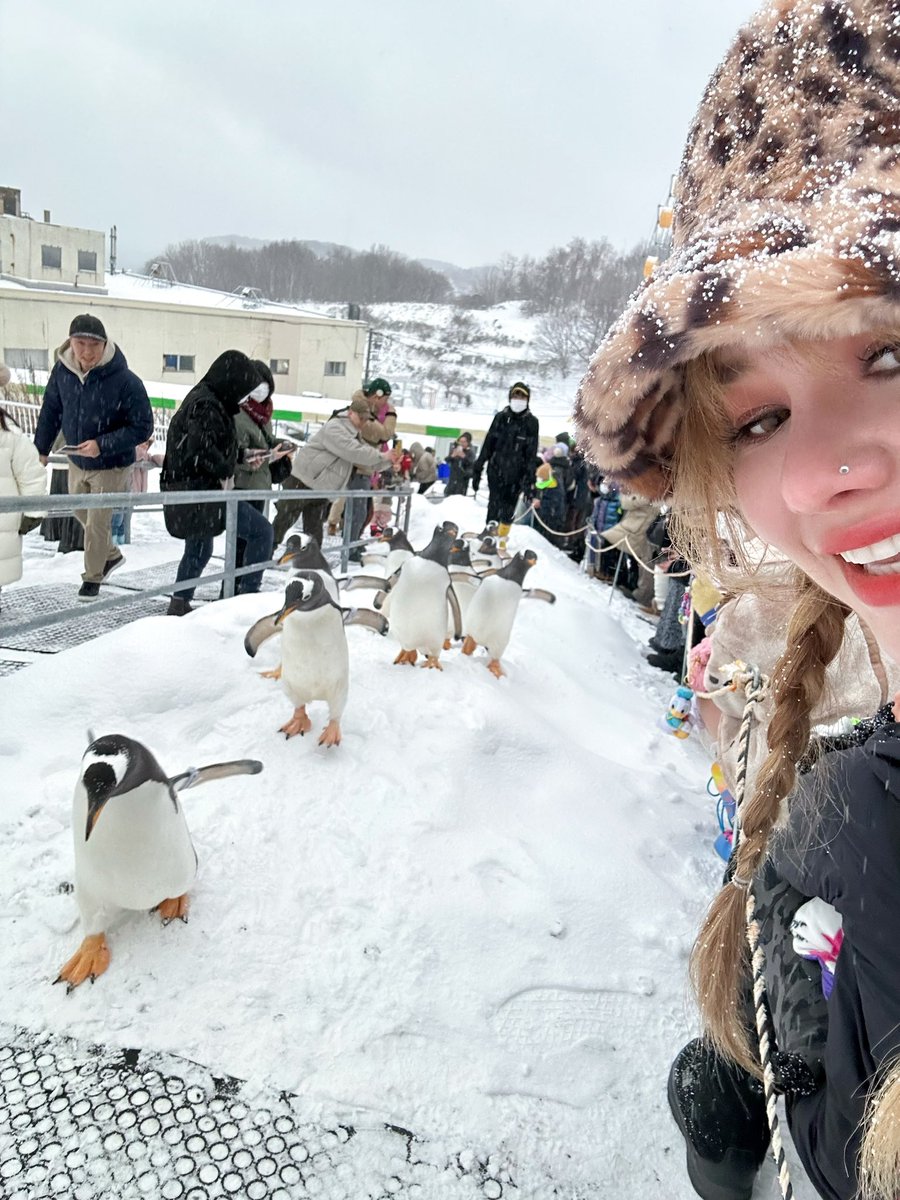 sammysammauy's tweet photo. 🐧🐦🐤
น้อนเพนกวินทำใจเหลวไปเลย https://t.co/qehDF8xawB