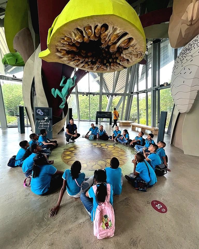 El <a href="/biomuseo/">Biomuseo</a> recibió en el 2023 a más de 9,400 participantes de los talleres, giras y actividades especiales, y agradeció a quienes participaron de las giras guiadas temáticas sobre Aves Sin Fronteras, Arquitectura del Biomuseo y el Parque de la Biodiversidad. #TReporta