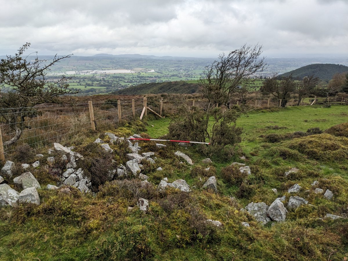 Brilliant volunteers have completed heritage work on Bronze Age cairns and Post Medieval settlement remains on the Stiperstones. You can read the full report here: bit.ly/stiperstoneshe… #archaeology #shropshire #commonland #heritagework