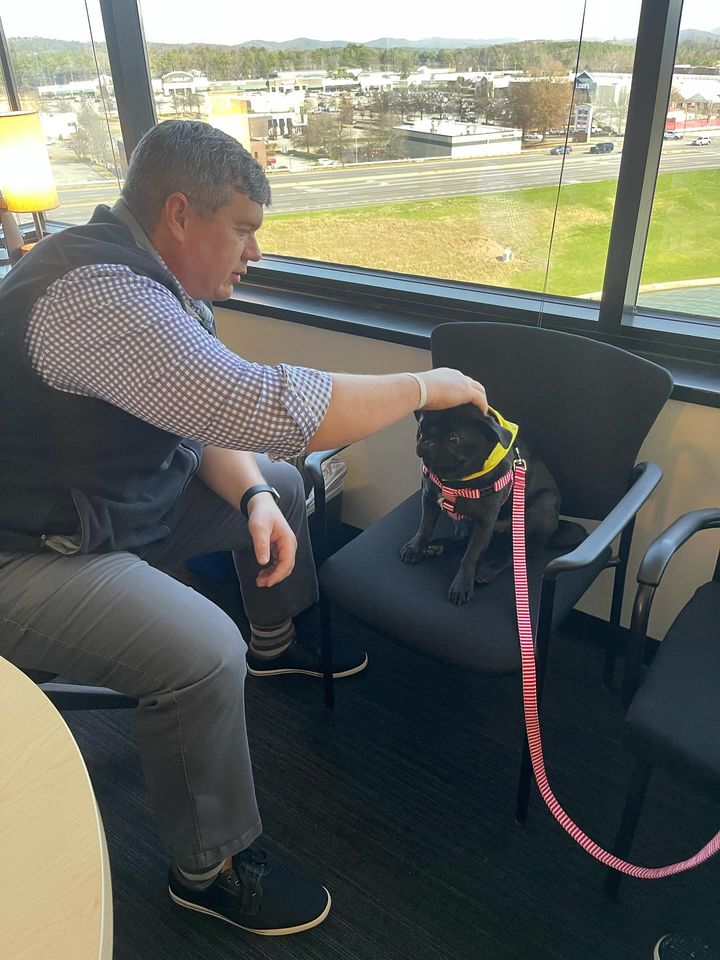 HandinPawAL's tweet photo. O Romeo, Romeo, wherefore art thou Romeo?
Answer: @mcleodsoftware!
“I never imagined how helpful it would be to have the pets come through a corporate environment. Hand in Paw is such a blessing!” -April S.
#handinpaw #wagsforwellness #therapydog #therapypug #therapydogsofbham https://t.co/u91SZJxqLR