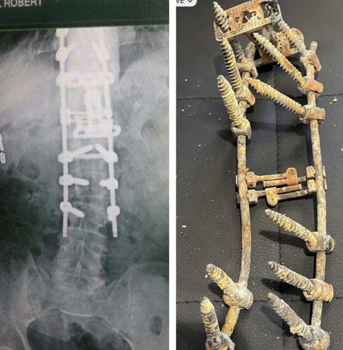 Morbid Knowledge tweet media