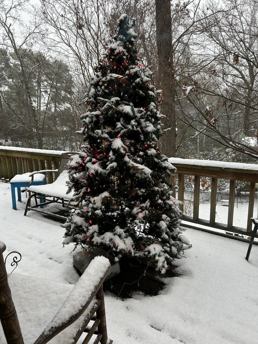 My friend Jimmie Lou always puts up a Christmas tree on her deck in Little Rock and today it looks like this! ❄️🎄 ❤️