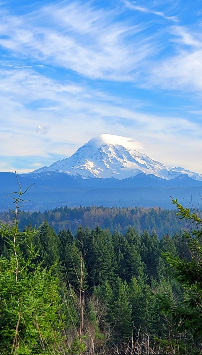 lesview's tweet image. Another gorgeous view of the mountain. #MountRainier #dayhiking #hiking #ultralightdayhiking #ultralightbackpacking #backpacking #PacificNorthwest