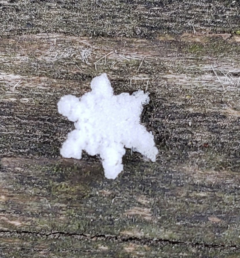 Look at how cool these snowflakes are! They are little stars!! @KSHB41 #snowday #KansasCity @glezak