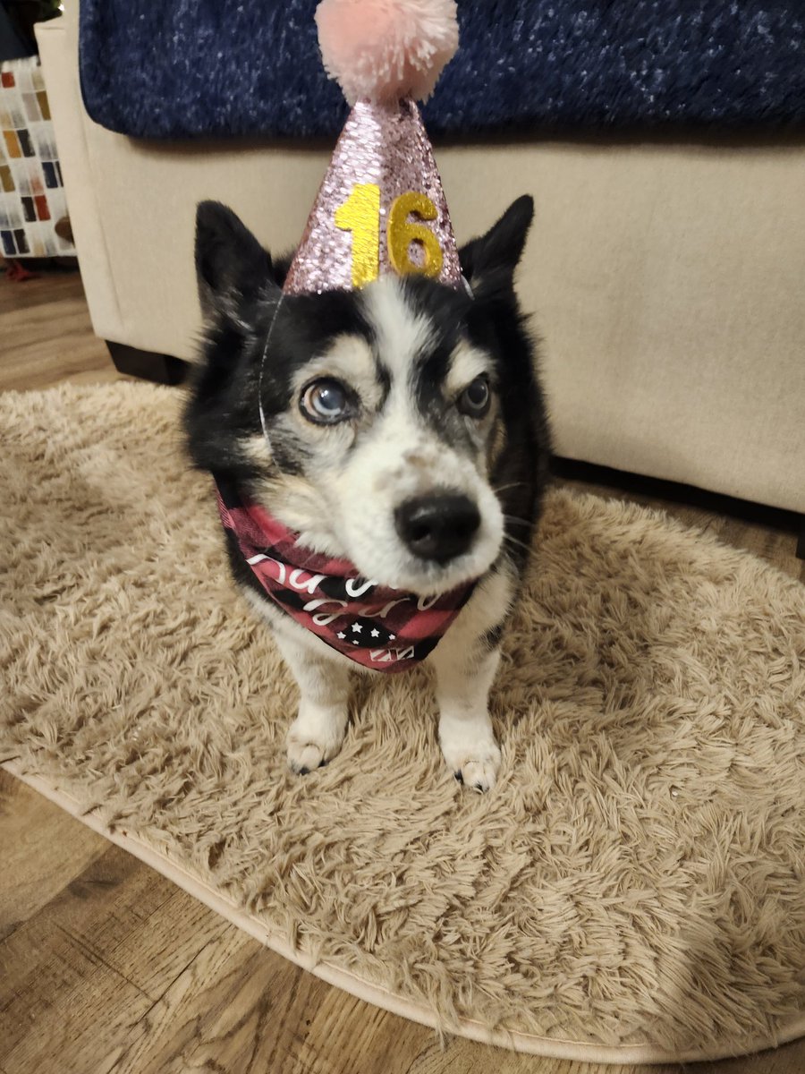 Jenn Baker tweet media