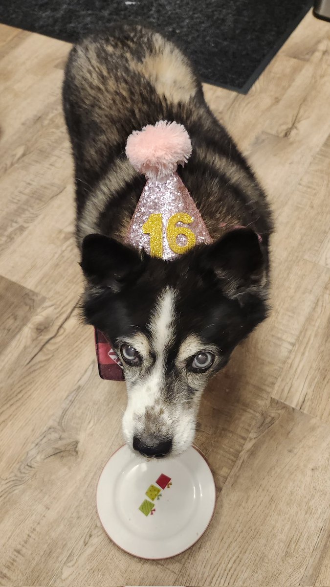 Jenn Baker tweet media