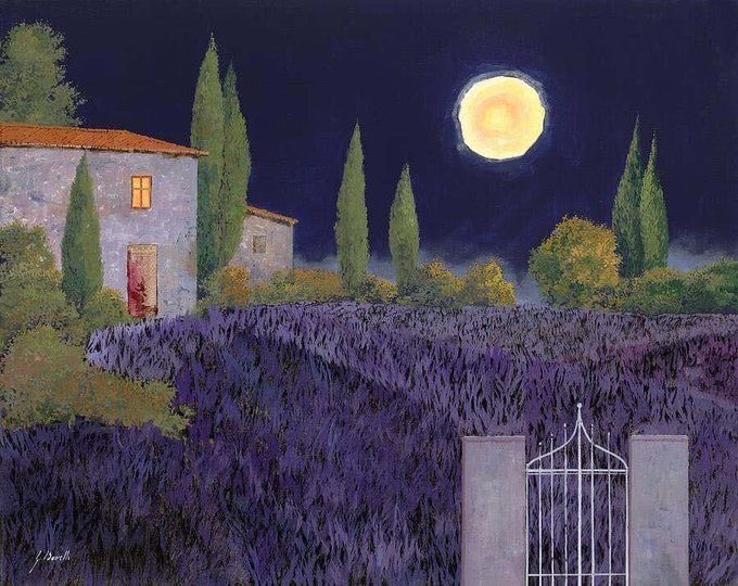 Lavanda di Notte ~ Guido Borelli