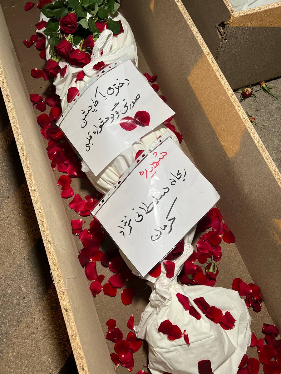 masoudp1369's tweet photo. رفته بودی انار بیاوری دانه هایت را آوردند... 
#نزار_قبانی https://t.co/FzgG3q4bIj