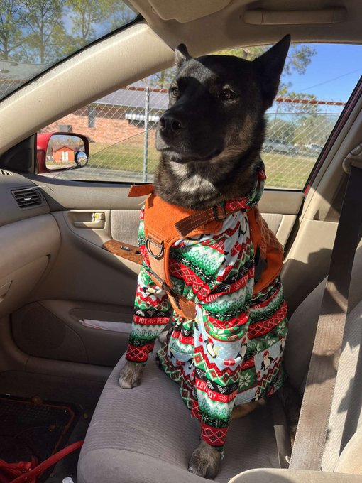 baby has been throwing up and won&rsquo;t eat and we&rsquo;re taking him to the vet 😥 https://t.co/lNRU1M0FRT<a href="/tag/newprofilepic"class="tags"><span>#newprofilepic</span></a>